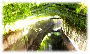 tunnel-river.jpg